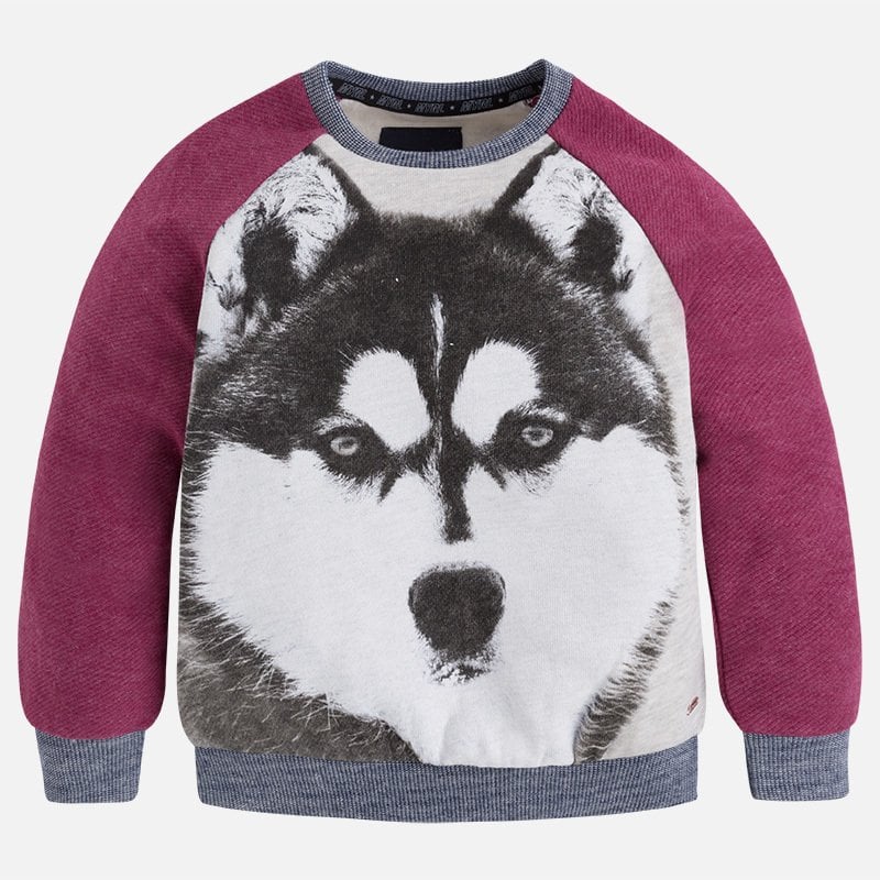 WOLF BASKI KAZAK